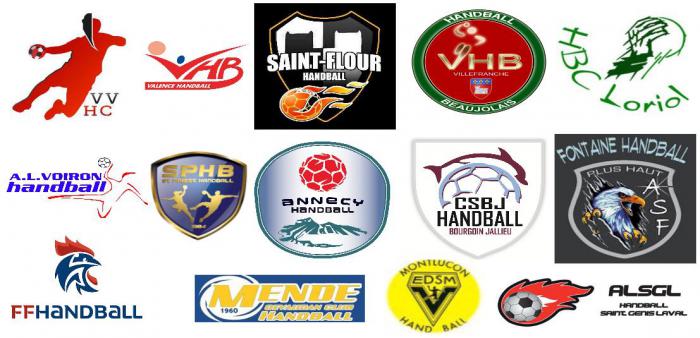 Banniere logos poule 7.jpg