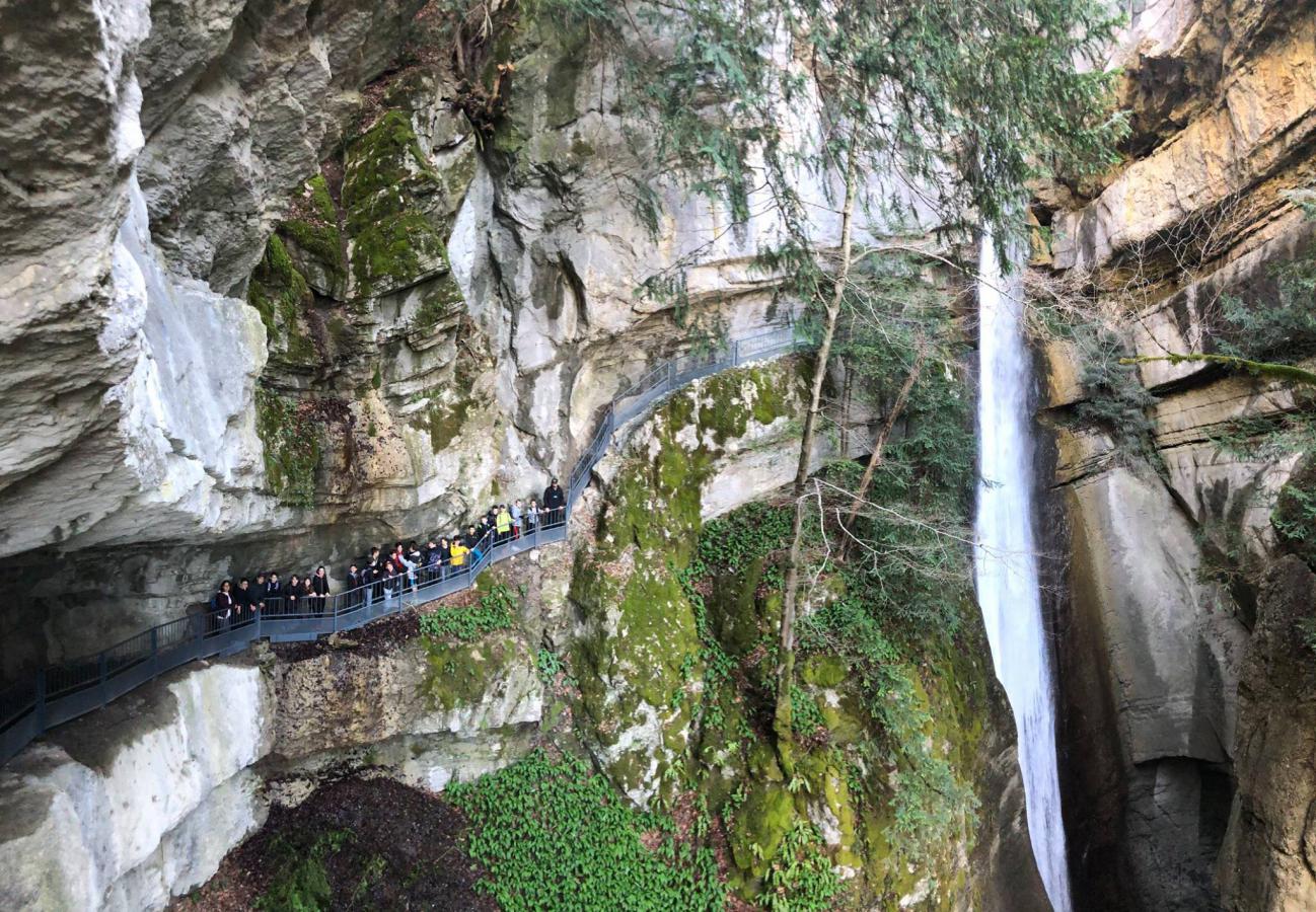 L'hebdo illustré du 21 avril