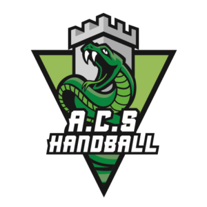 Annecy Handball D